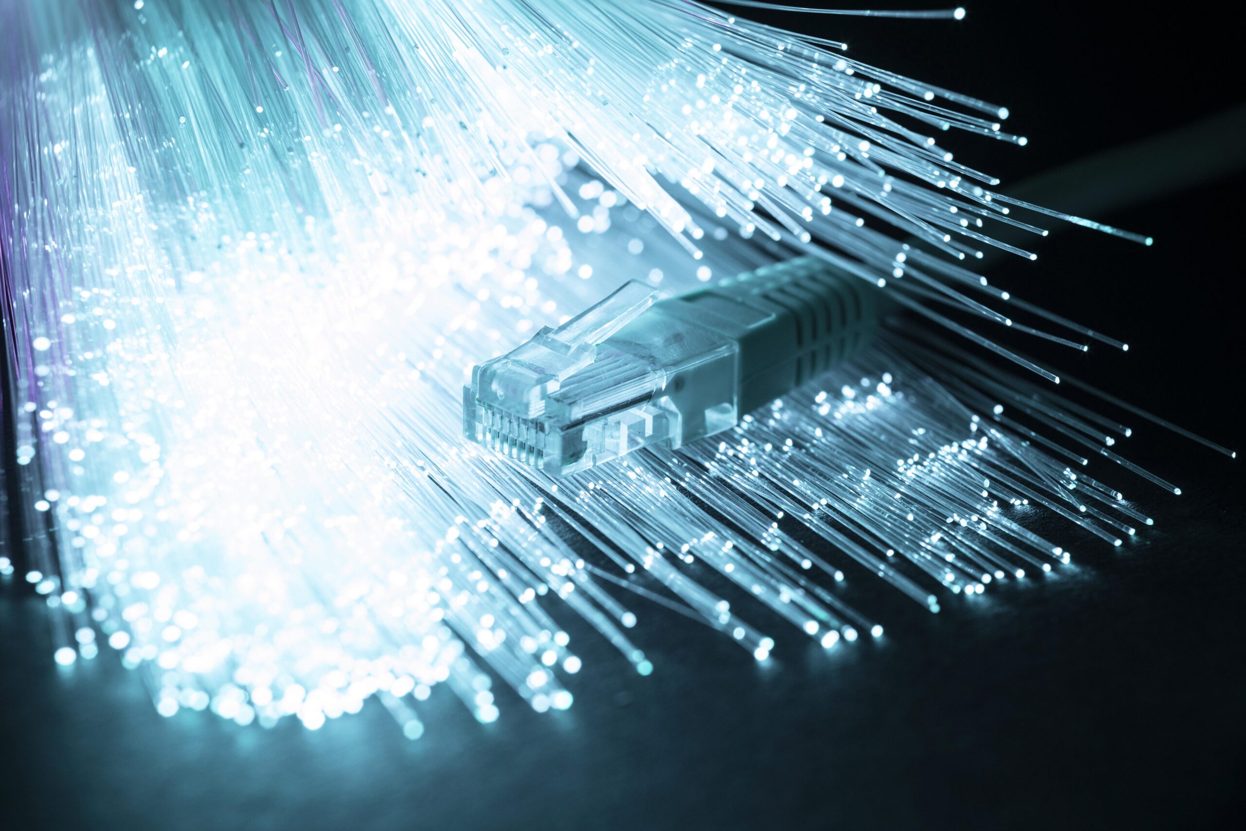 Fiber